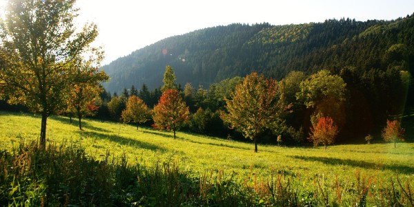 Auch der Herbst hat viele Reize Auch der Herbst hat viele Reize
